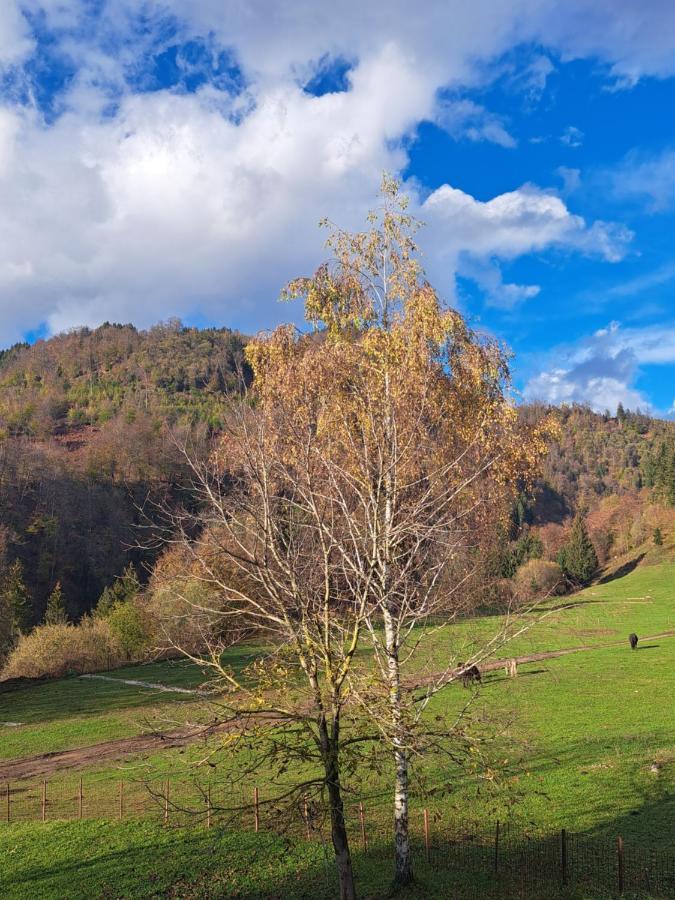 Greenriver Apartment Spodnje Gorje Dış mekan fotoğraf