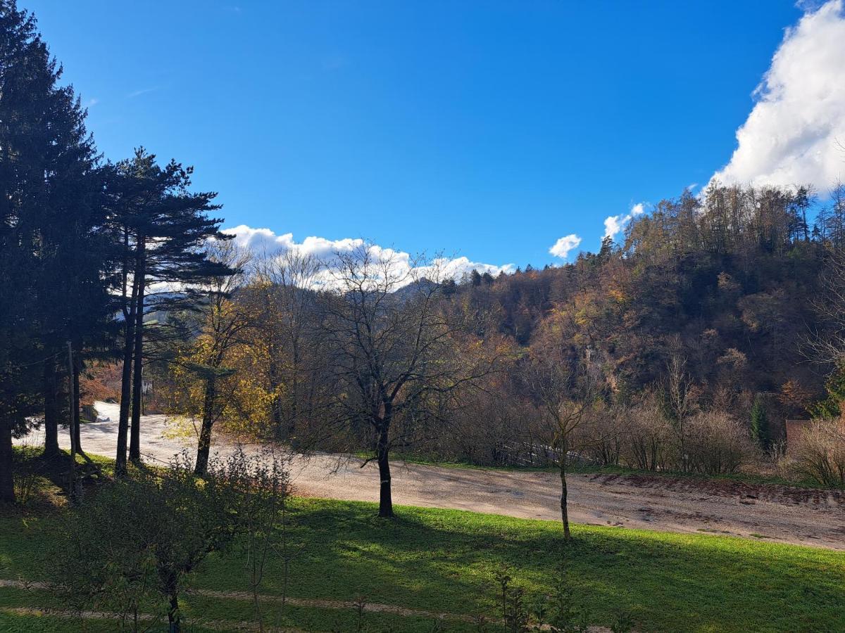 Greenriver Apartment Spodnje Gorje Dış mekan fotoğraf