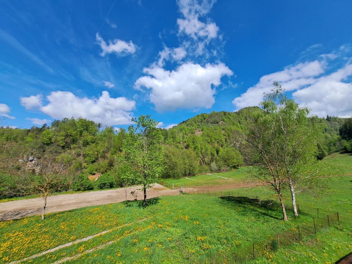 Greenriver Apartment Spodnje Gorje Dış mekan fotoğraf