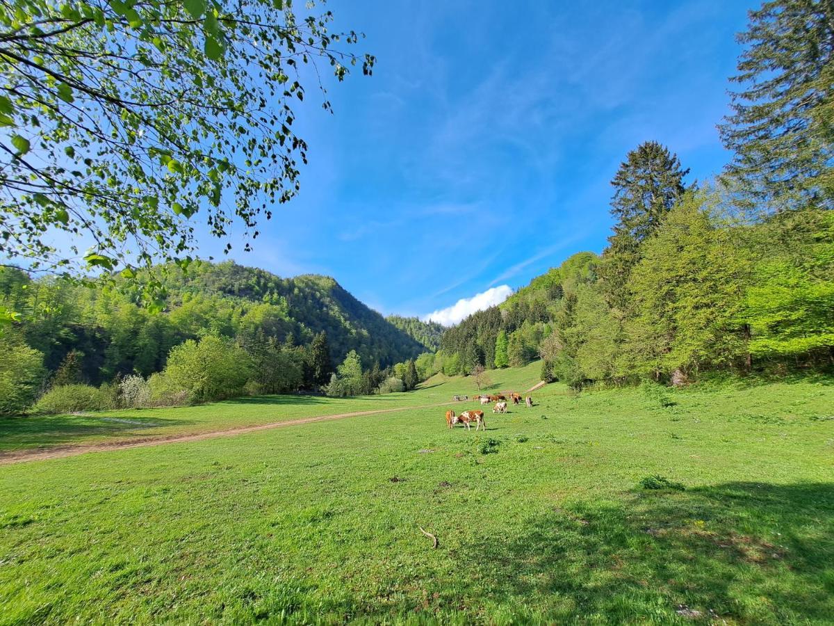 Greenriver Apartment Spodnje Gorje Dış mekan fotoğraf