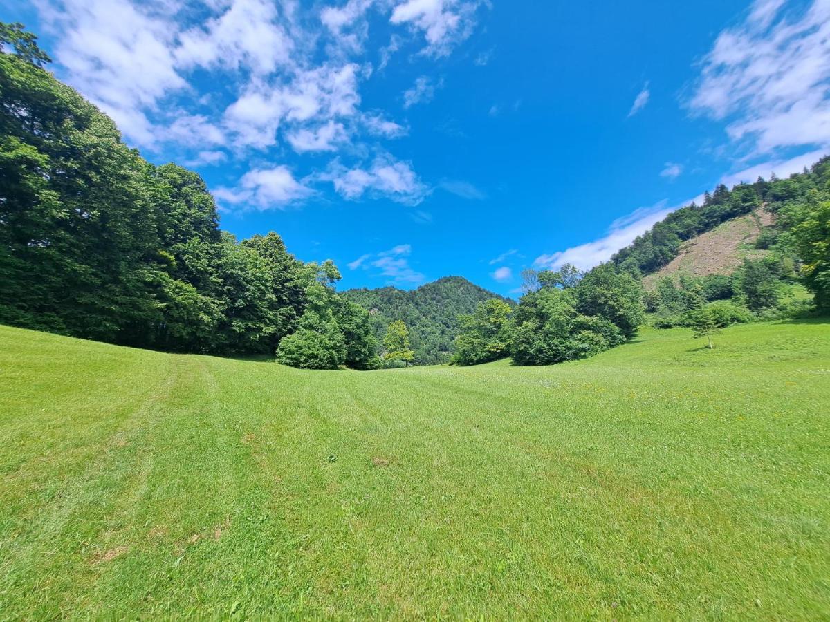 Greenriver Apartment Spodnje Gorje Dış mekan fotoğraf