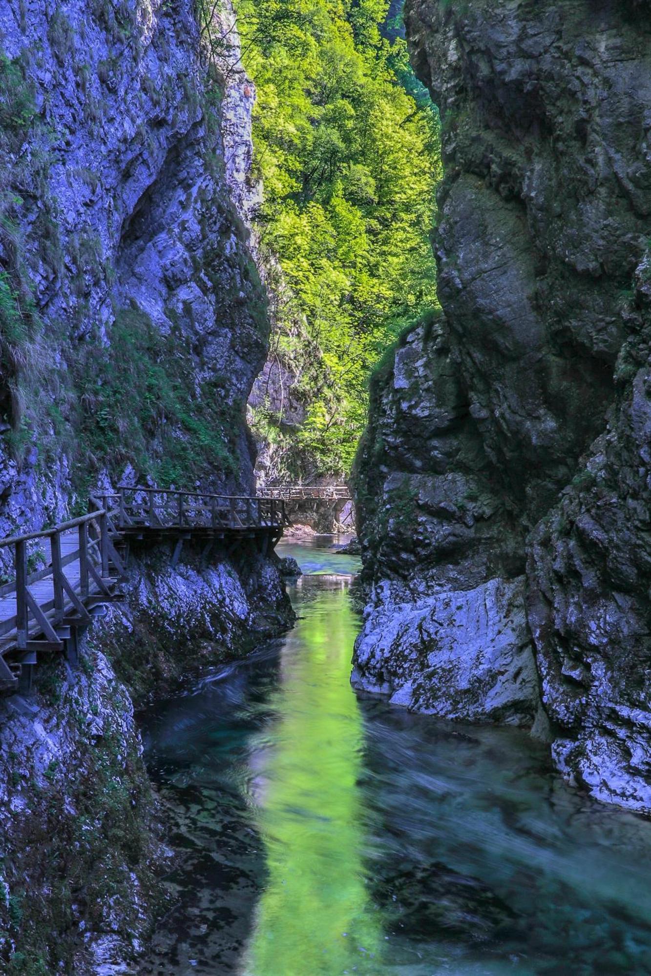 Greenriver Apartment Spodnje Gorje Dış mekan fotoğraf